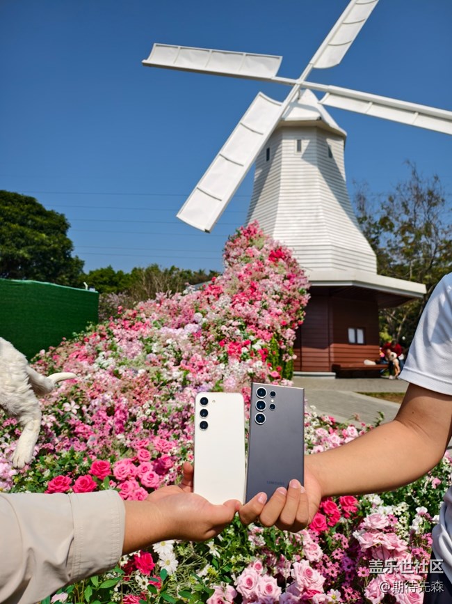 【活動回顧】繁花與三星