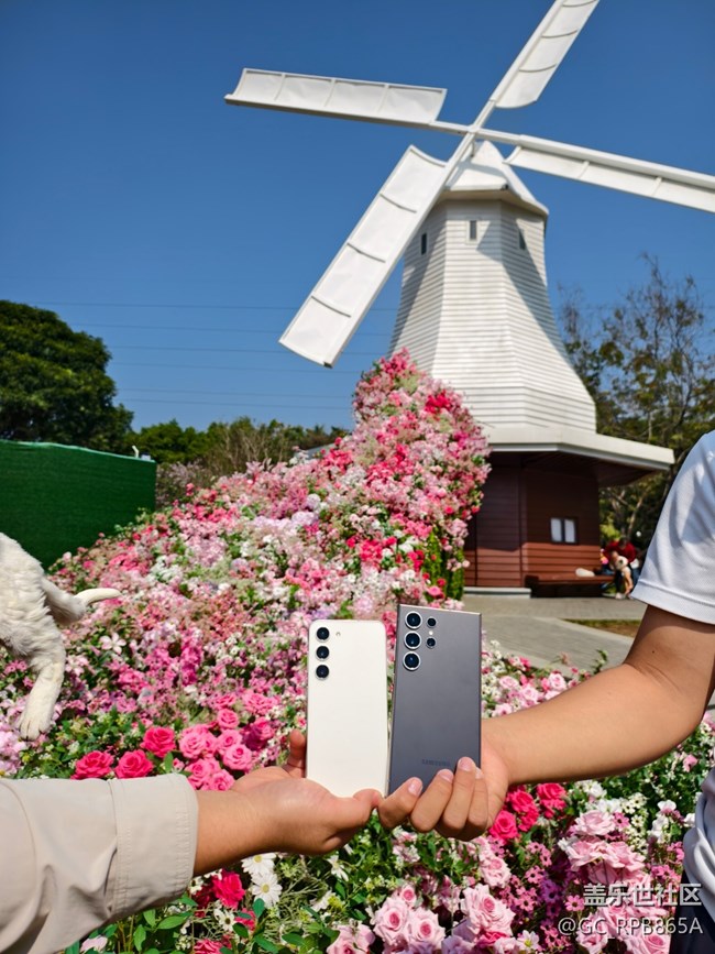 【活動回顧】花朵