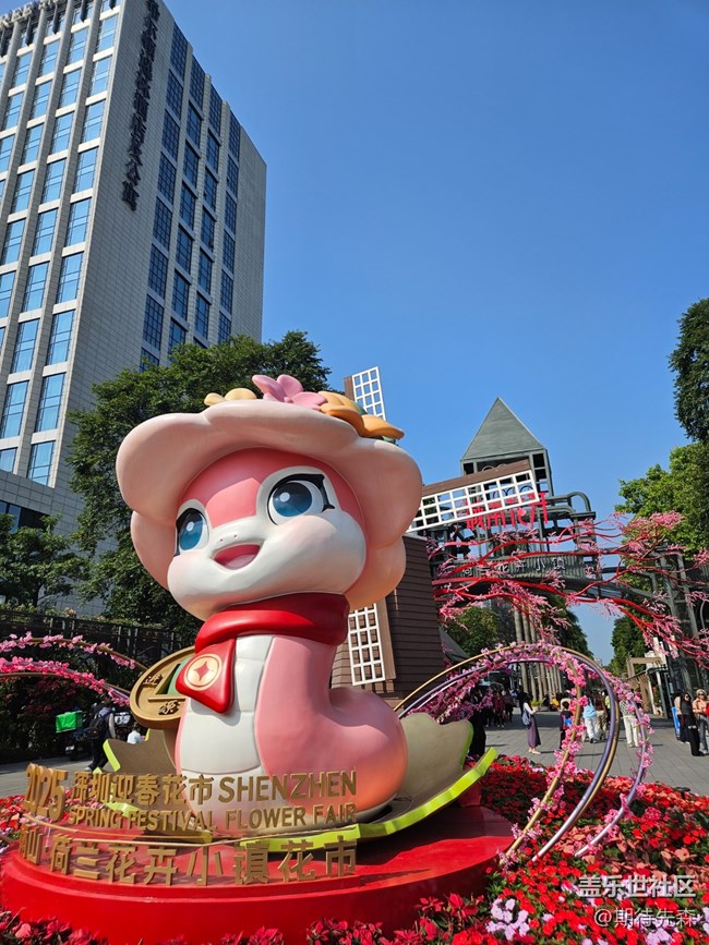 【活動回顧】繁花與三星