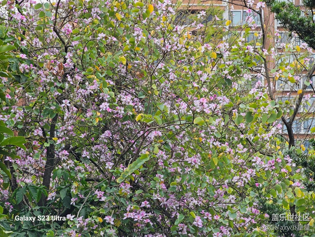 【三星S25】廣州星部落三星Galaxy S25系列新品品鑒會回顧 【三星S25】廣州星部落三星Galaxy S25系列新品品鑒會回顧