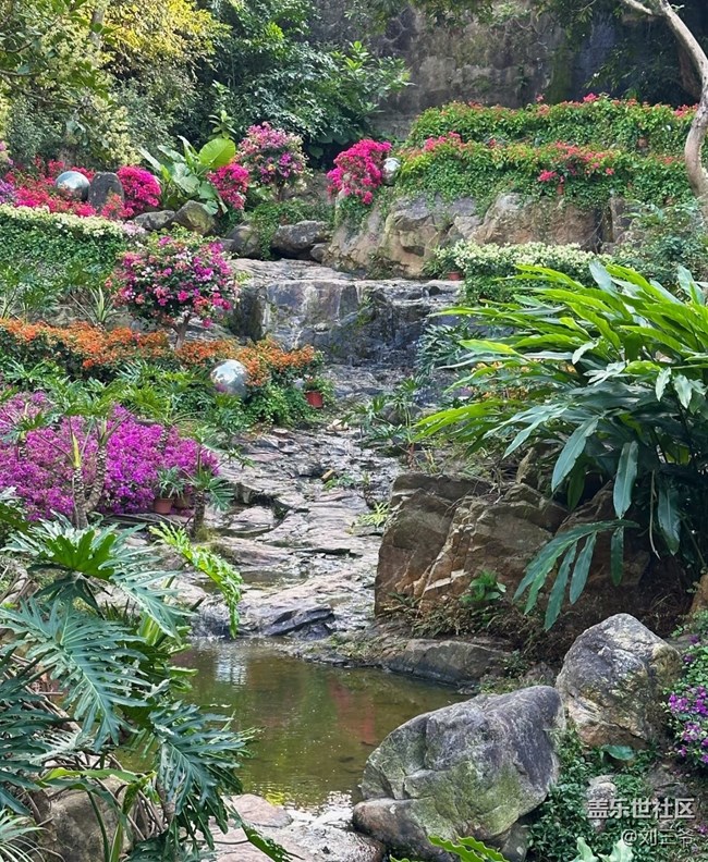 【廣州的花花們】闖入現(xiàn)實(shí)版莫奈花園
