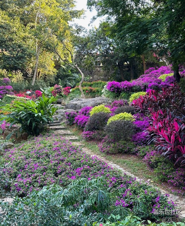 【廣州的花花們】闖入現(xiàn)實(shí)版莫奈花園