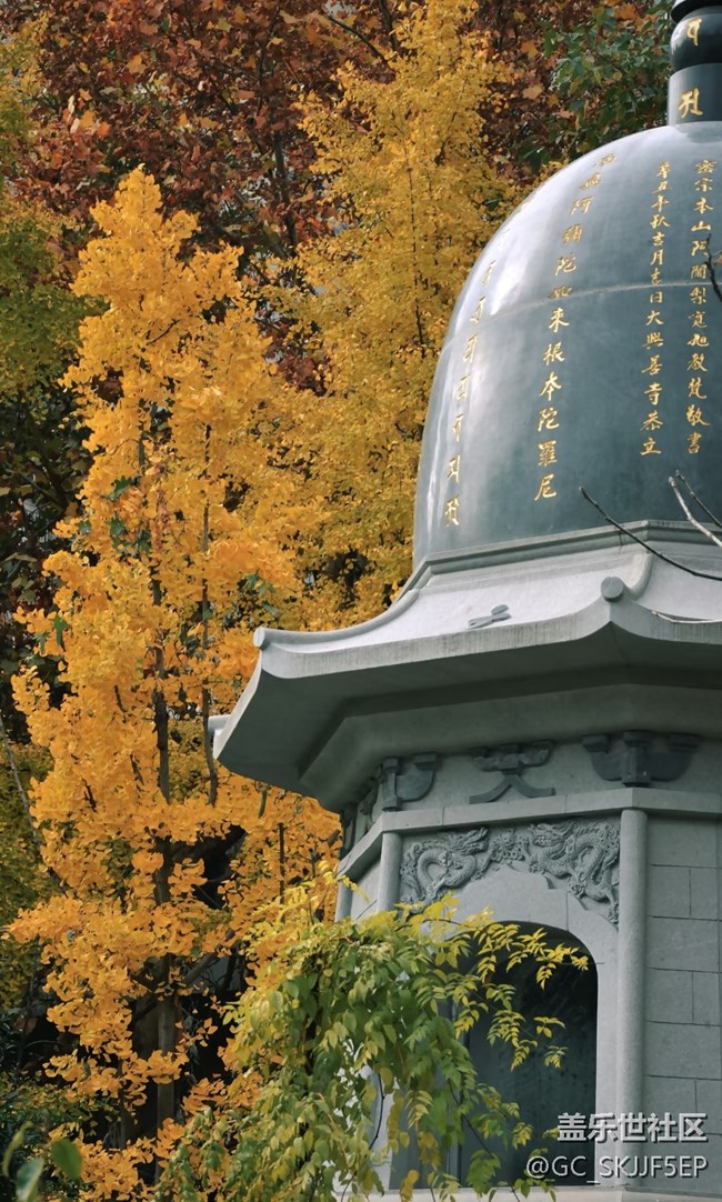 【春花浪漫】古剎秋韻,詩(shī)意禪境 【春花浪漫】古剎秋韻,詩(shī)意禪境