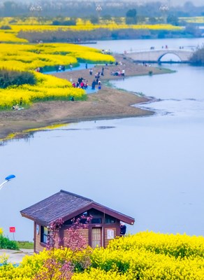 Galaxy S25 Ultra春的顏色