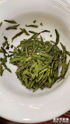 【光耀生活】+景逸世界與葉子有關(guān)
