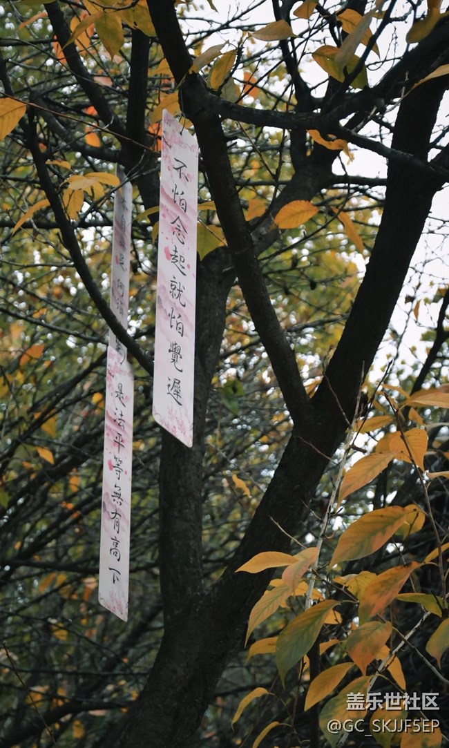 【春花浪漫】尋跡古意，邂逅時光之美