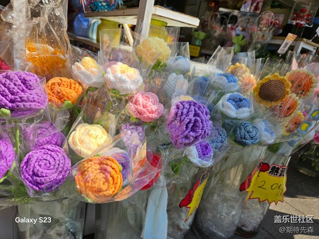 【春日尋花】微風(fēng)輕拂