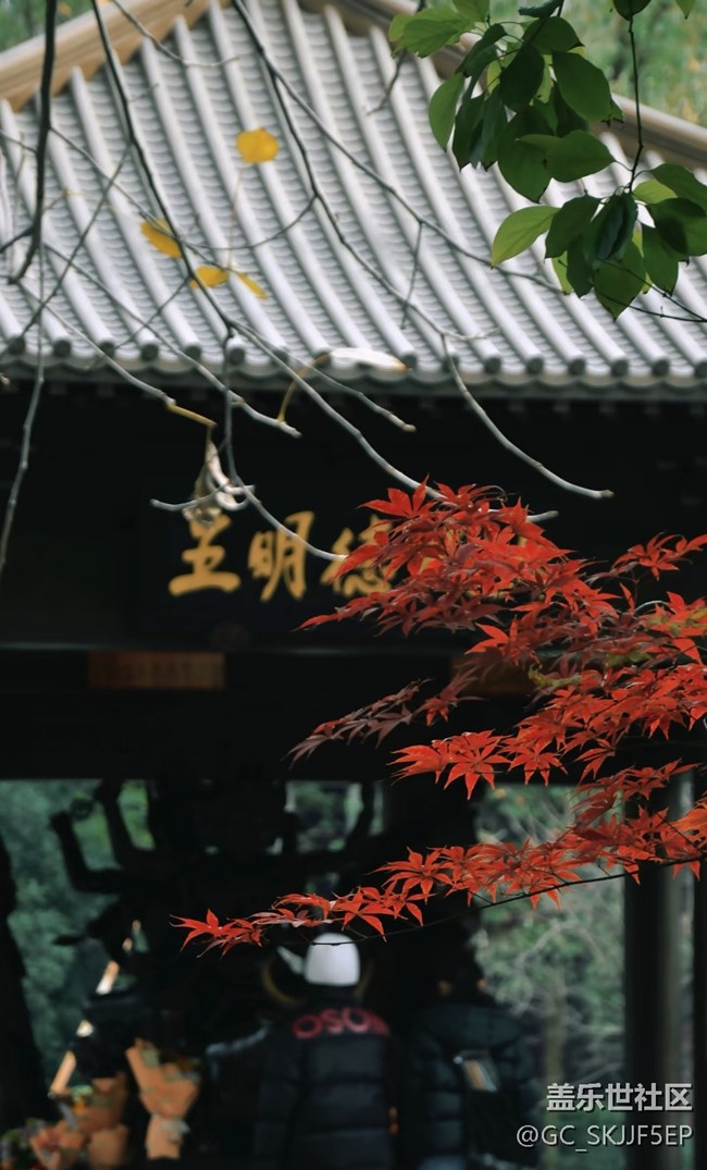 【春花浪漫】古剎秋韻,詩(shī)意禪境 【春花浪漫】古剎秋韻,詩(shī)意禪境