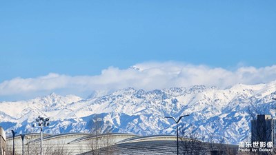 透亮的冬日等春來