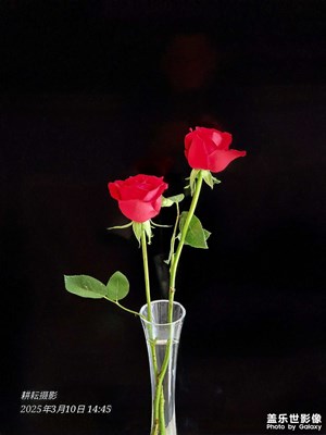 三星S24U5倍直拍