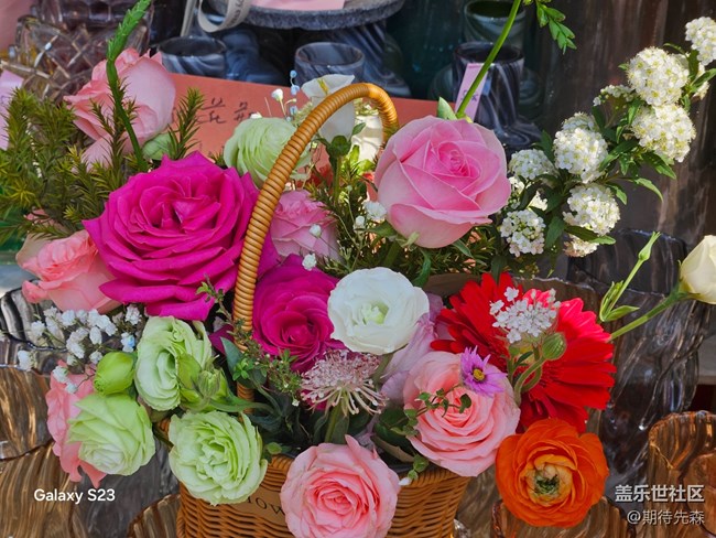 【春日尋花】微風(fēng)輕拂