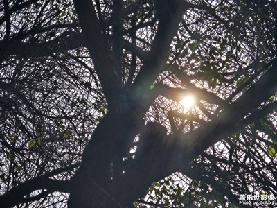 【光耀生活】+熱愛(ài)生活