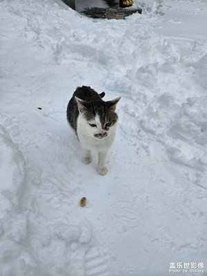 【光耀生活】冰雪世界let it go