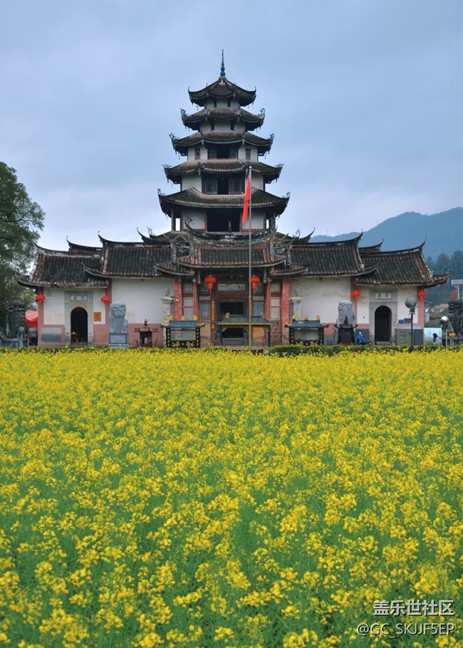 【春花浪漫】尋跡古意，邂逅時光之美