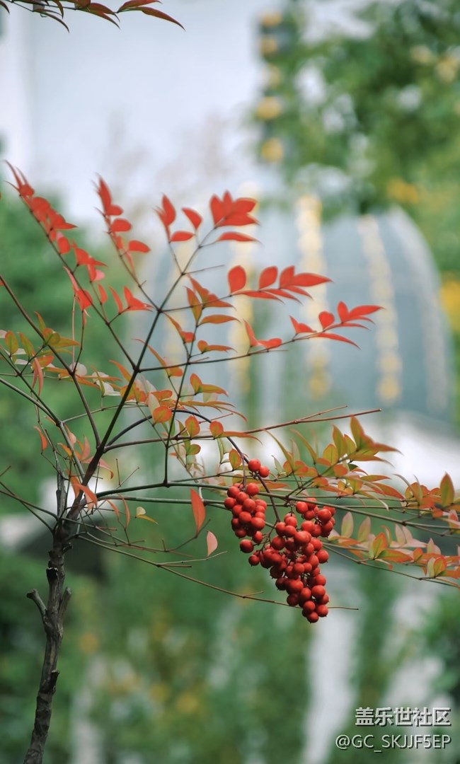 【春花浪漫】古剎秋韻,詩(shī)意禪境 【春花浪漫】古剎秋韻,詩(shī)意禪境
