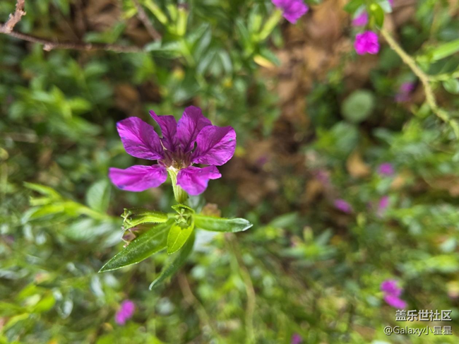 【三星S25】廣州星部落三星Galaxy S25系列新品品鑒會回顧 【三星S25】廣州星部落三星Galaxy S25系列新品品鑒會回顧