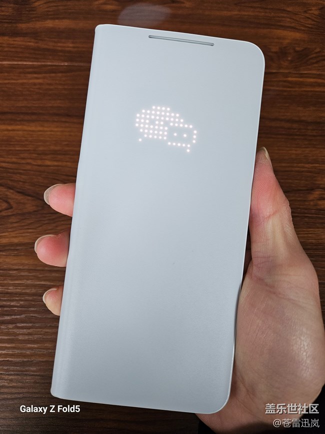 【我的三星產品】顏值黨就位！曬一曬我的S21 Ultra手機殼~