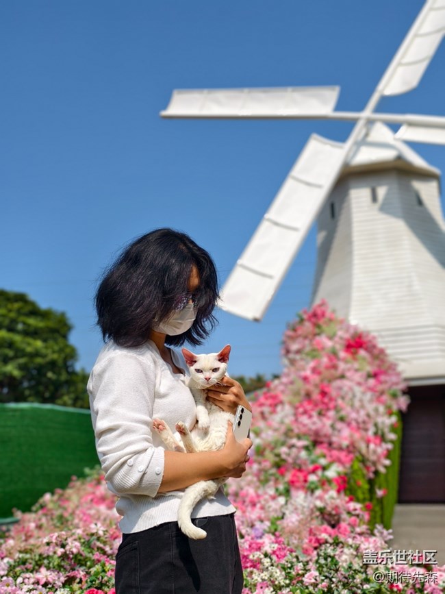 【活動回顧】繁花與三星