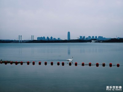 「湖畔美學(xué)」