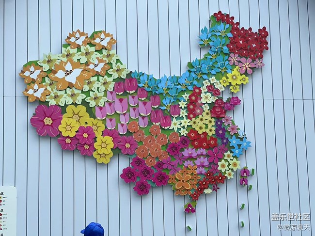 【春日尋花】風車與花海