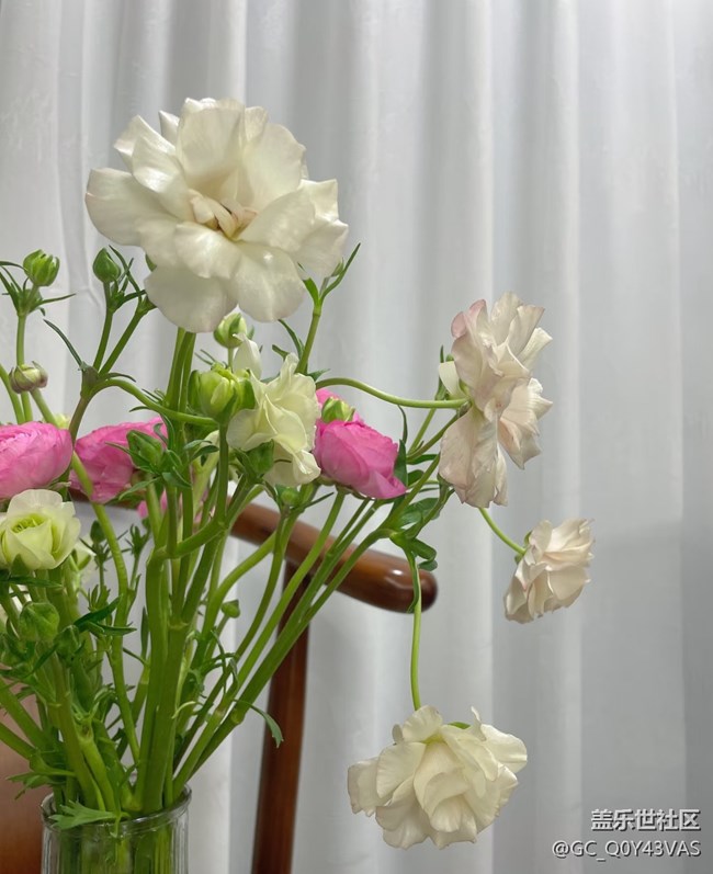 【廣州的花花們】花漾生活，浪漫滿屋