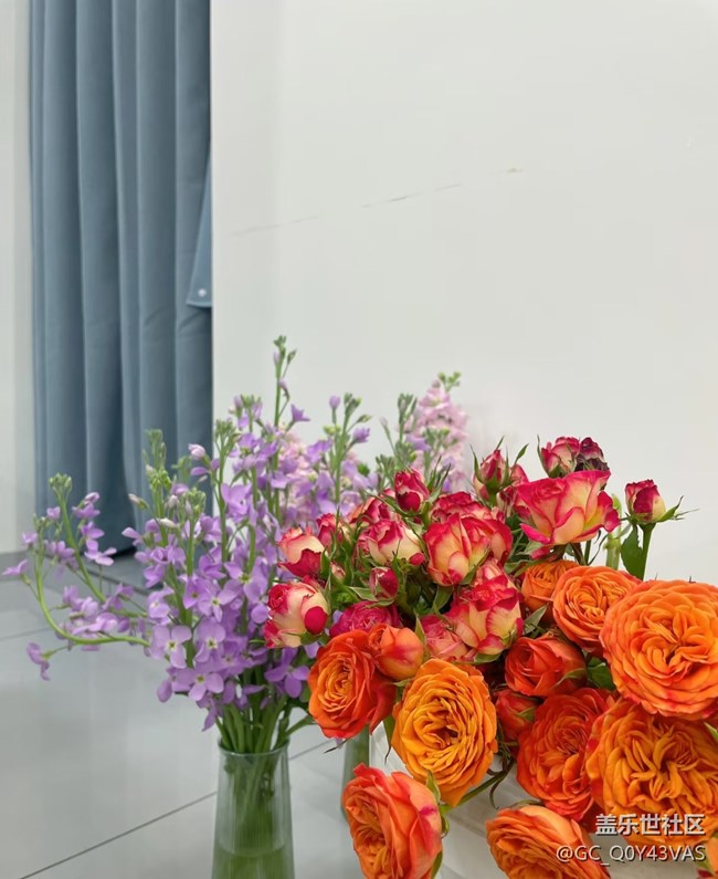 【廣州的花花們】花漾生活，浪漫滿屋