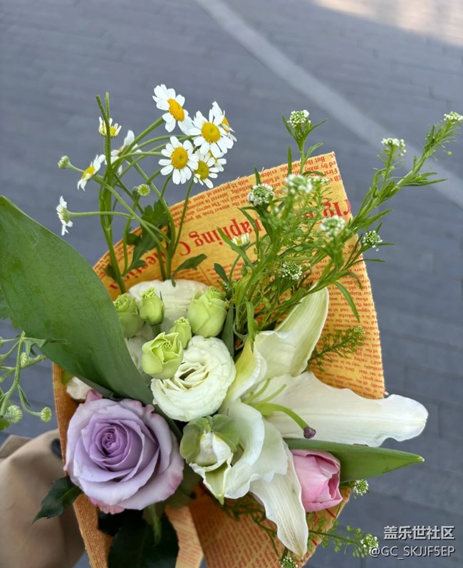 【春花浪漫】+花影如夢(mèng)，詩(shī)意生活