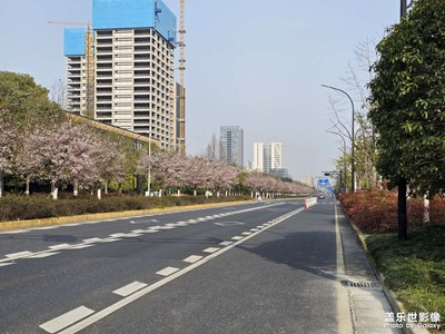 【光耀生活】+春日的街頭和我的小屋