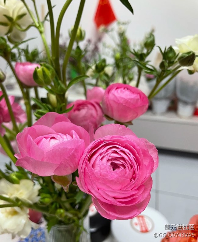 【廣州的花花們】花漾生活，浪漫滿屋