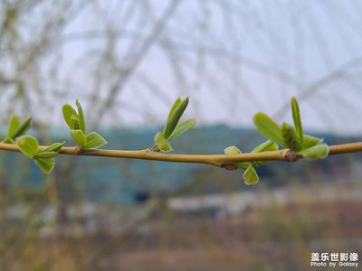 【光耀生活】+美麗三月