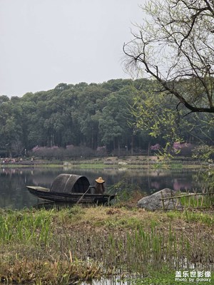 【光耀生活】春日花漾