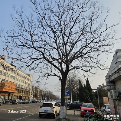 【光耀生活】生活氣息