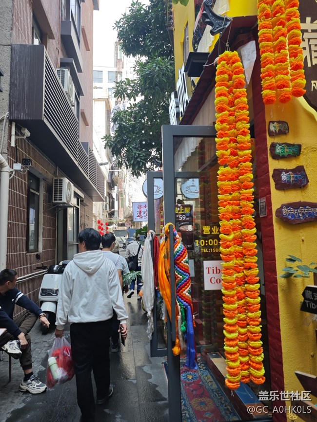 【活動(dòng)回顧】花卉小鎮(zhèn)