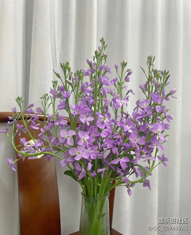【廣州的花花們】花漾生活，浪漫滿屋