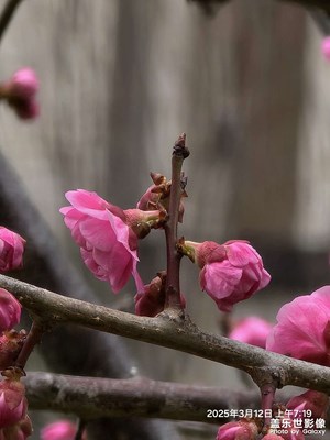 開心比什么都重要