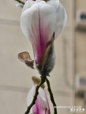 春天已到萬物復(fù)蘇