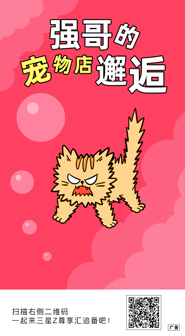 強(qiáng)哥的寵物店邂逅