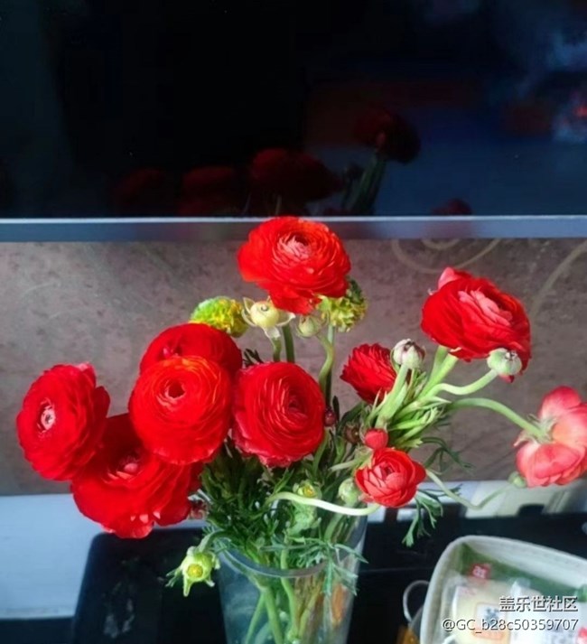 【春日尋花】花開燦爛