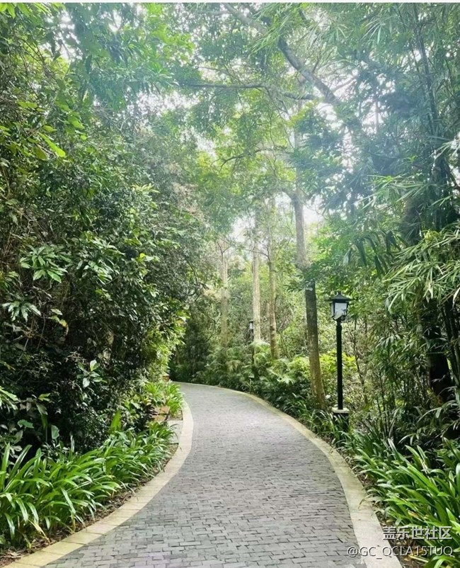 【約定3月的旅行】森林公園