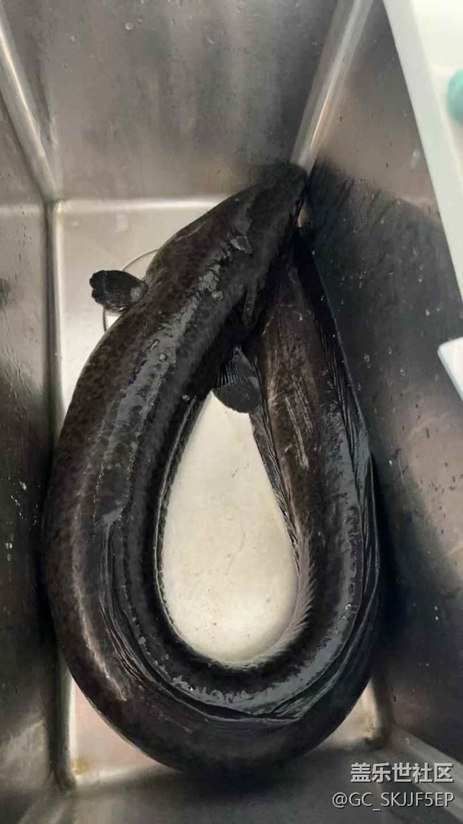 【時(shí)間在此刻靜止】收獲滿滿的漁樂(lè)時(shí)光