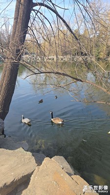 【好春光】+嬉戲