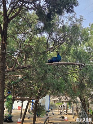 【好春光】+動物園