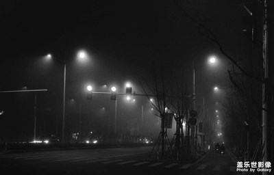 【光耀生活】霧