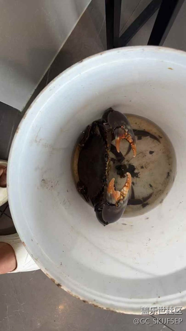 【時(shí)間在此刻靜止】收獲滿滿的漁樂(lè)時(shí)光