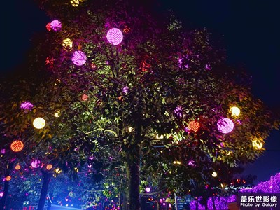 就隨便發(fā)發(fā)