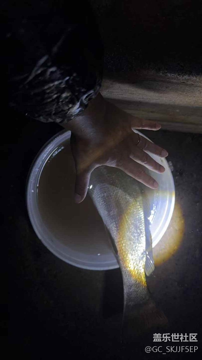 【時(shí)間在此刻靜止】收獲滿滿的漁樂(lè)時(shí)光