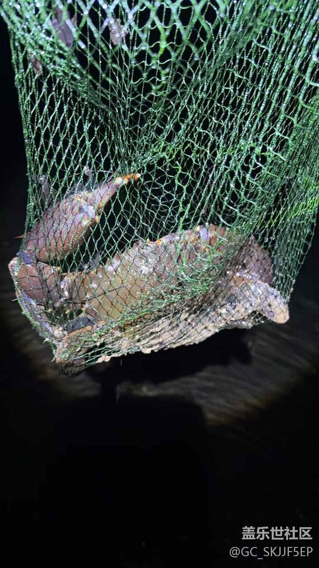 【時(shí)間在此刻靜止】收獲滿滿的漁樂(lè)時(shí)光