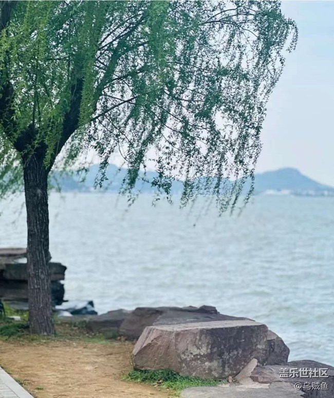 【約定3月的旅行】游湖