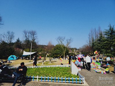 【好春光】春日里