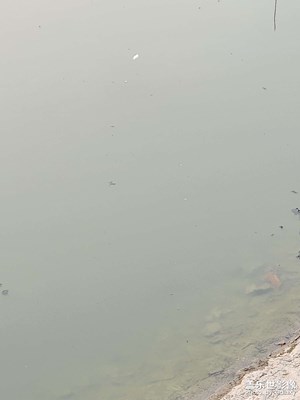 好春光 初春乍到